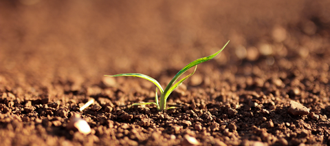 From soil to you, nothing is left behind