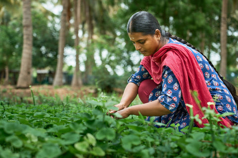 Food Equity: Creating Access for All